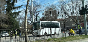 Автобус на градския транспорт блъсна жена на пешеходна пътека в Пловдив (ВИДЕО+СНИМКИ)