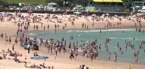 Регистрираха температурни рекорди в Австралия (ВИДЕО)