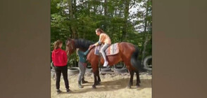 Помощ за конна база "Ахил": Деца със специални потребности може да останат без терапия