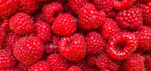Ще изчезнат ли малините и ягодите от пазара заради скъпото напояване