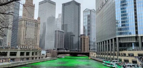 Боядисаха в зелено река Чикаго (ВИДЕО)