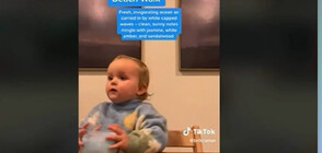 2-годишно дете се превърна в TikTok звезда (ВИДЕО)