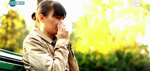 Алергиите – причинители, симптоми и превенция (ВИДЕО)