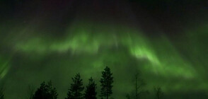 НЕБЕСНО ЗРЕЛИЩЕ: Червени, зелени и бели светлини озариха Лапландия (ВИДЕО)