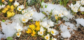 ВРЕМЕТО: Усещане за зима в последните дни на март