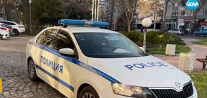 НАПАДНАТ С КАМЪК И ЗАПЛАШЕН С УБИЙСТВО: Адвокат в Пловдив стана обект на агресия, докато разхожда кучето си
