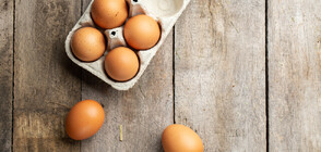 БАБХ: 2,6 млн. яйца са внесени у нас от Украйна и Латвия