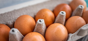Излязоха резултатите от проверката на БАБХ за украински яйца на нашия пазар