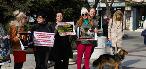 Защитници на животните излязоха на протести в няколко града у нас