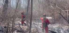 Първият голям горски пожар за годината изпепели испанско село (ВИДЕО)