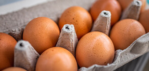 ПРЕДИ ВЕЛИКДЕН: Как се промени цената на яйцата в Гърция