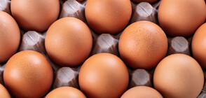 БАБХ засилва проверките за яйцата и агнешкото преди Великден
