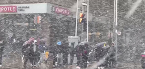 Необичайно: Гръмотевична буря със сняг удари Торонто (ВИДЕО)