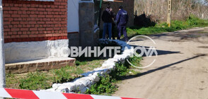 Глутница кучета уби жена в Долна Оряховица (ВИДЕО)