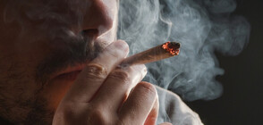 Проучване: РСМ на първо място в Югоизточна Европа по употреба на марихуана