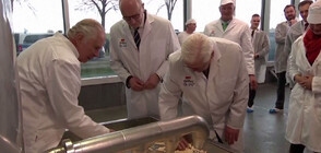 Чарлз III приготви сирене при визита в германска екоферма (ВИДЕО)