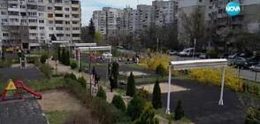 „Живей чисто, мисли за София”: Над 4000 дръвчета в столични училища и детски градини