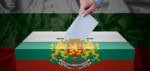 Българите в чужбина гласуват за 49-о Народно събрание (ОБЗОР)