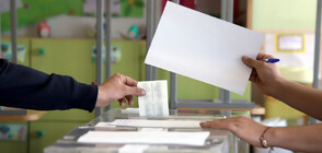 Висока избирателна активност сред българите в Румъния