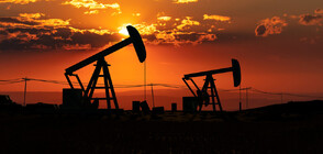 Продължава сривът в цената на петрола