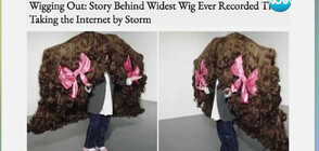 РЕКОРД: Изработиха най-голямата перука в света (ВИДЕО)