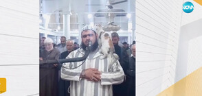 КУРИОЗ: Котка скочи върху раменете на имам по време на молитва (ВИДЕО)