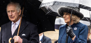 След коронацията на крал Чарлз III: Камила официално ще се титулова "кралица"