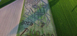 Италианец изрисува с трактор в полето портрет на Пикасо (ВИДЕО)