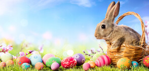 70 000 деца изпратиха писма до Великденския заек