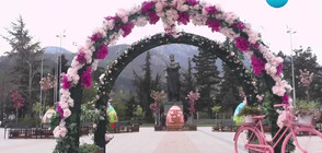 Враца посреща празниците с площад с хиляди цветя (ВИДЕО)