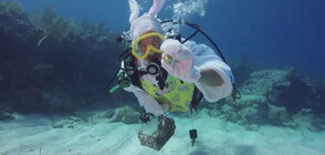 Забавен лов: Водолази търсиха великденски яйца край Флорида (ВИДЕО)