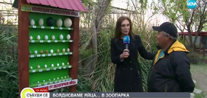 Боядисване на яйца в зоопарка в Бургас