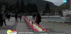 100-метров козунак във Враца