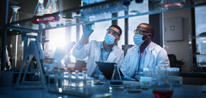 Учени направиха батерия от хранителни продукти