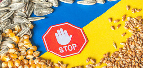 Полша подновява от петък транзита на украинско зърно