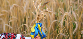 Унгария разшири забраната за внос на храни от Украйна