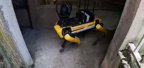 Вижте кучето робот, помагащо за поддръжката на парижкото метро (ВИДЕО)