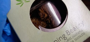 При акция на МВР: Откриха аналог на марихуаната в магазини за електронни цигари