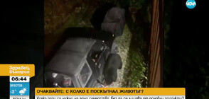 Мечка разби кола в Британска Колумбия и изпи 69 кутии сода (ВИДЕО)