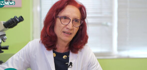 Д-р Денка Стоянова: Около 700 са българите с хемофилия, но няма регистър