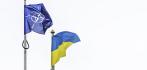 Украйна обвини НАТО в липса на политическа воля за приемането ѝ в Алианса