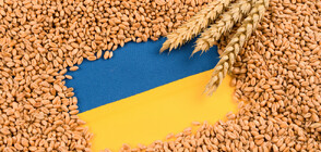 ЕК удължава ограничителните мерки за земеделския внос от Украйна