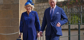 Преди коронацията: Бъкингам публикува нови снимки на Чарлз III и Камила