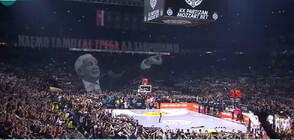 20 000 фена и уникално шоу на баскетболен мач от Евролигата