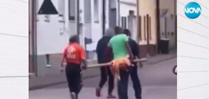 Защо четирима мъже, носещи мъртво животно на кол, предизвикаха смут в Германия