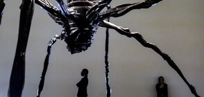 Продадоха скулптура на паяк за над 32 млн. долара