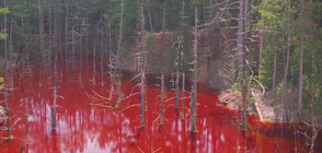 „Кървавото езеро” край Елшица: Изключително опасна атракция