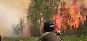 Драматични кадри показват как пожарникари се борят със стихия в Канада (ВИДЕО)