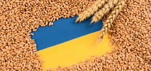 ЕС удължи безмитния внос на украински стоки за една година