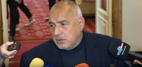 Boyko Borissov not giving up his immunity